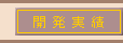開発実績